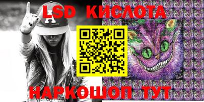 прущие грибы Новокубанск