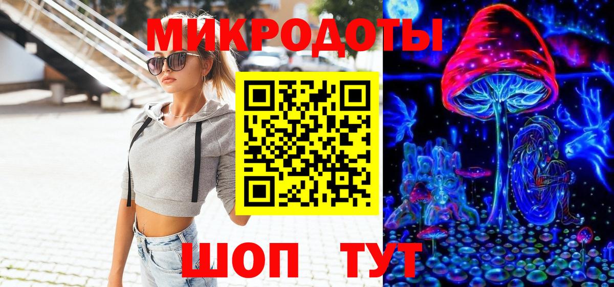 Галлюциногенные грибы Psilocybe Сургут