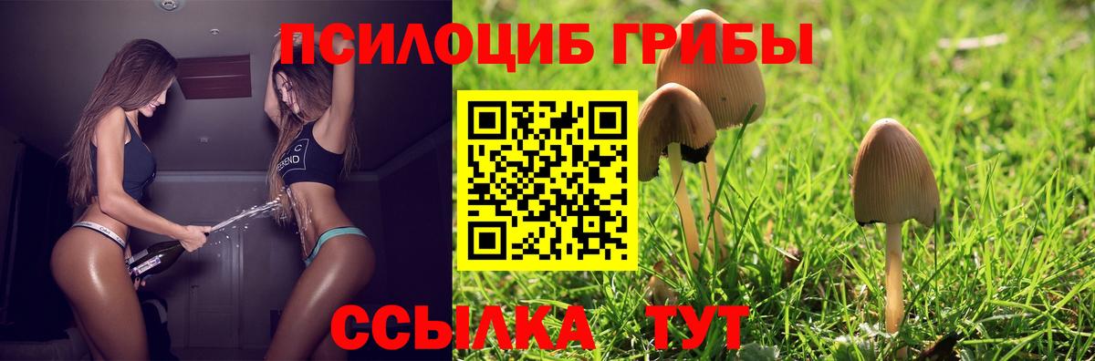 Псилоцибиновые грибы прущие грибы  Псилоцибиновые грибы мухоморы  Вход с VPN  купить закладку  Сургут 